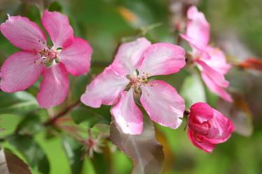 Similar image 21362723