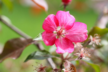 Similar image 21362724