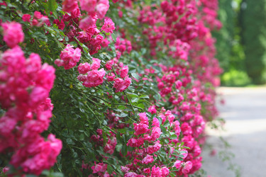 Similar image 21346786