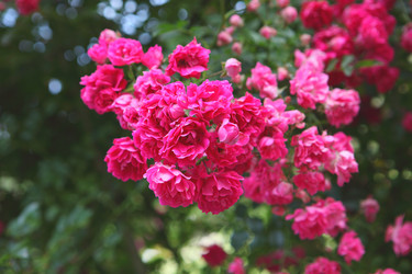 Similar image 21346787