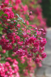 Similar image 21346788