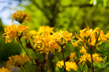 Similar image 21362725