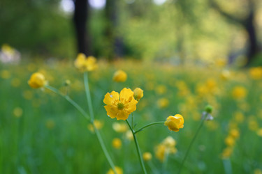 Similar image 21358135