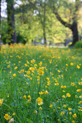 Similar image 21358136