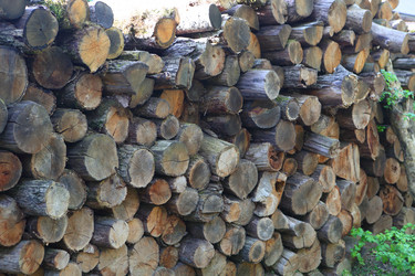 Similar image 21367313