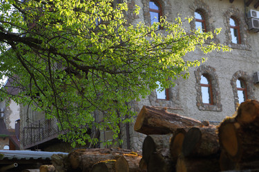 Similar image 21367316