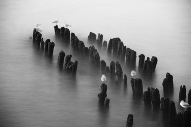 Similar image 21375800