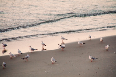 Similar image 21375939