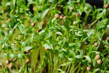 Similar image 21375944