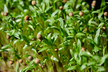 Similar image 21375946