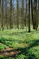 Similar image 21375954