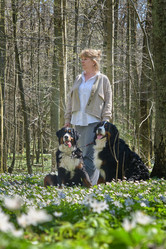 Similar image 21376087