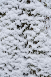 Similar image 21375974