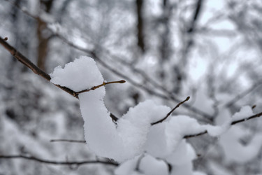 Similar image 21375976