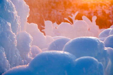 Similar image 21348967