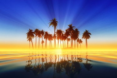 Similar image 21375991