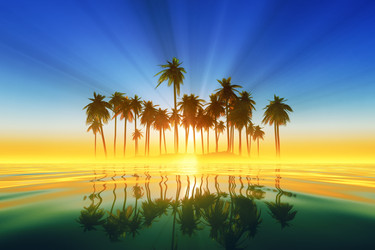 Similar image 21375992