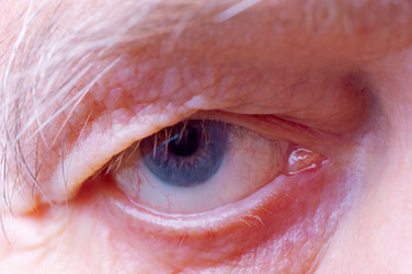 Similar image 21375808