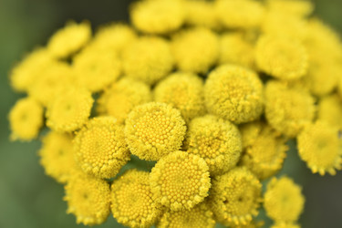 Similar image 21361683