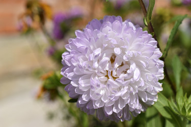 Similar image 21361686