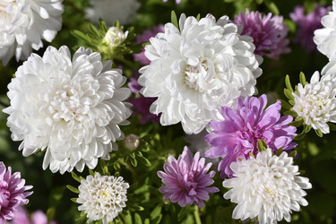 Similar image 21361688