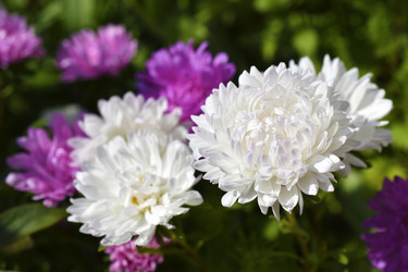 Similar image 21361689