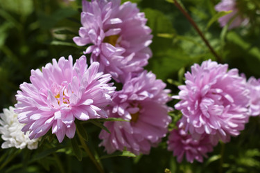 Similar image 21365851