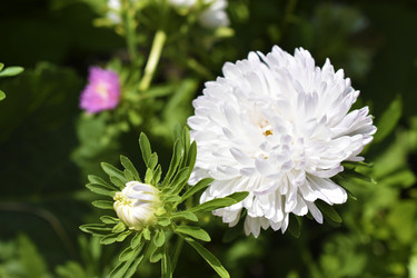 Similar image 21365855