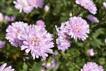 Similar image 21365857