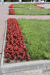 Similar image 21365858