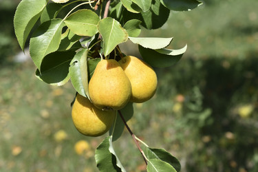 Similar image 21353379