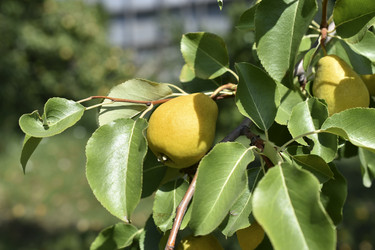 Similar image 21353382