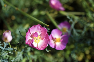 Similar image 21361697