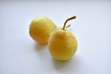 Similar image 21361699