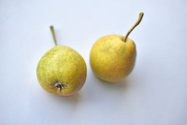 Similar image 21361702