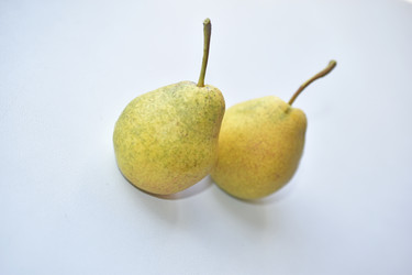 Similar image 21361705