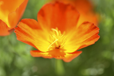 Similar image 21365870