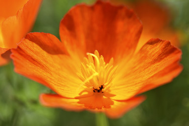 Similar image 21365871