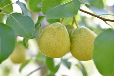 Similar image 21365872