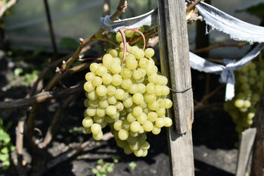 Similar image 21365873