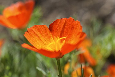 Similar image 21365874