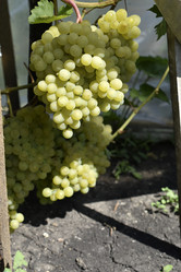 Similar image 21365875