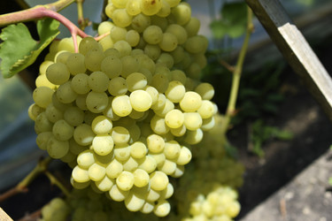 Similar image 21365876