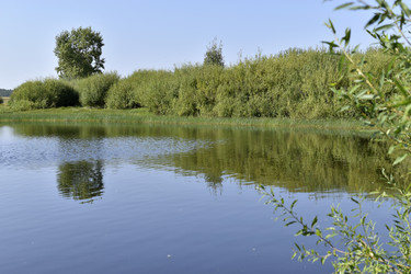 Similar image 21365877