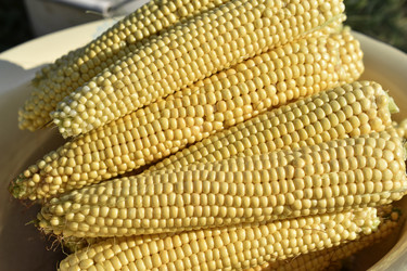 Similar image 21365880