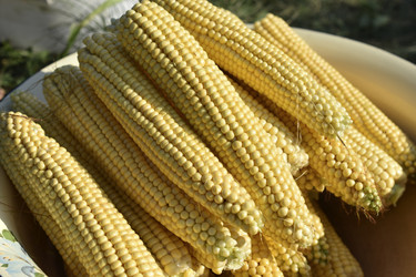 Similar image 21365881