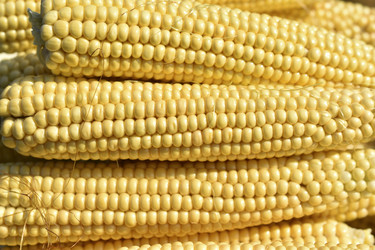 Similar image 21343742