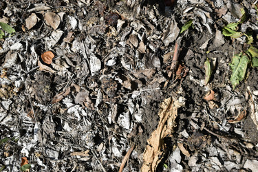 Similar image 21343747