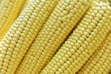 Similar image 21344064