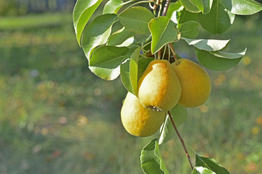 Similar image 21344065